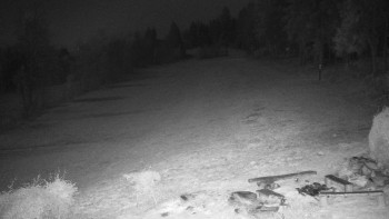 Snímek 7.11.2025 v 22:00