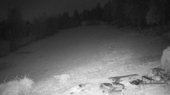 Snímek 8.11.2025 v 00:30