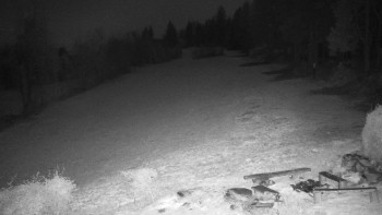 Snímek 8.11.2025 v 03:00