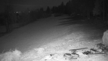 Snímek 8.11.2025 v 04:30