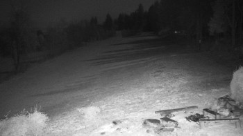 Snímek 8.11.2025 v 05:30