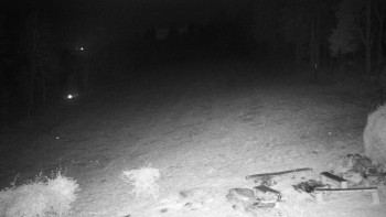 Snímek 8.11.2025 v 17:30