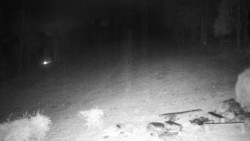 Běžecký lyžařský areál Nová Ves