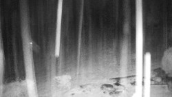 Běžecký lyžařský areál Nová Ves