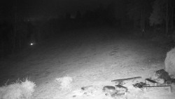 Běžecký lyžařský areál Nová Ves