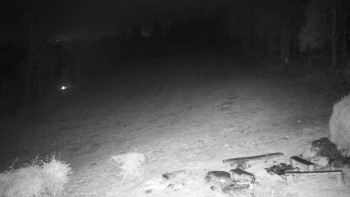 Snímek 8.11.2025 v 20:00