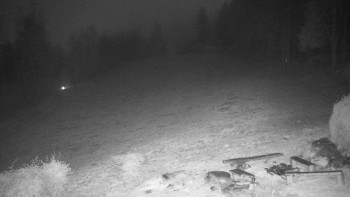 Snímek 9.11.2025 v 04:00