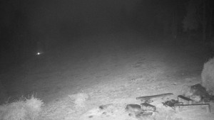 Chata Myslivna SKP Olomouc - Běžecký lyžařský areál Nová Ves - 9.11.2025 v 05:00 Chata Myslivna SKP Olomouc - Běžecký lyžařský areál Nová Ves - 9.11.2025 v 05:00