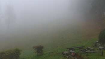 Snímek 9.11.2025 v 11:00