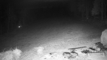 Snímek 9.11.2025 v 18:30