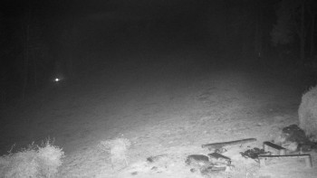 Snímek 9.11.2025 v 19:00