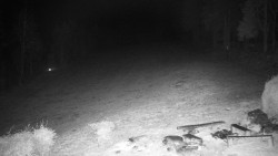 Běžecký lyžařský areál Nová Ves