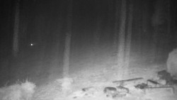 Běžecký lyžařský areál Nová Ves