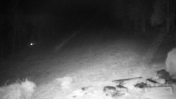 Běžecký lyžařský areál Nová Ves