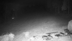 Běžecký lyžařský areál Nová Ves