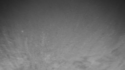 Běžecký lyžařský areál Nová Ves