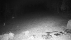 Běžecký lyžařský areál Nová Ves