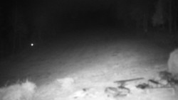 Běžecký lyžařský areál Nová Ves