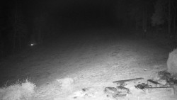 Běžecký lyžařský areál Nová Ves