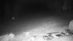 Běžecký lyžařský areál Nová Ves