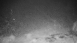 Běžecký lyžařský areál Nová Ves