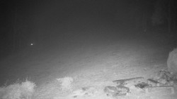 Běžecký lyžařský areál Nová Ves