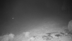 Běžecký lyžařský areál Nová Ves