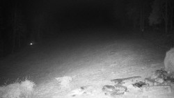 Běžecký lyžařský areál Nová Ves