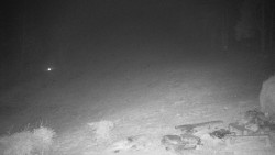 Běžecký lyžařský areál Nová Ves