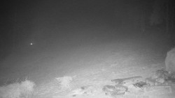 Běžecký lyžařský areál Nová Ves