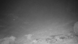 Běžecký lyžařský areál Nová Ves