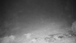 Běžecký lyžařský areál Nová Ves