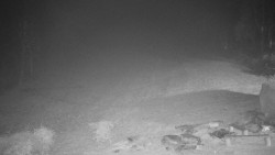 Běžecký lyžařský areál Nová Ves