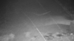 Běžecký lyžařský areál Nová Ves