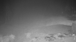 Běžecký lyžařský areál Nová Ves