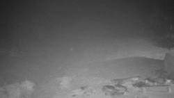 Běžecký lyžařský areál Nová Ves