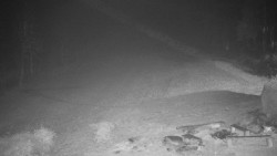 Běžecký lyžařský areál Nová Ves