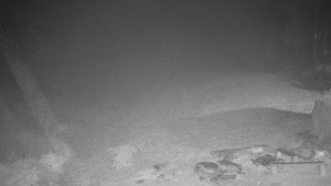 Chata Myslivna SKP Olomouc - Běžecký lyžařský areál Nová Ves - 15.11.2025 v 00:30 Chata Myslivna SKP Olomouc - Běžecký lyžařský areál Nová Ves - 15.11.2025 v 00:30