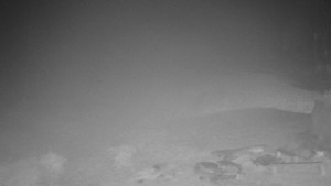 Chata Myslivna SKP Olomouc - Běžecký lyžařský areál Nová Ves - 15.11.2025 v 03:30 Chata Myslivna SKP Olomouc - Běžecký lyžařský areál Nová Ves - 15.11.2025 v 03:30