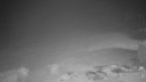 Chata Myslivna SKP Olomouc - Běžecký lyžařský areál Nová Ves - 15.11.2025 v 04:00 Chata Myslivna SKP Olomouc - Běžecký lyžařský areál Nová Ves - 15.11.2025 v 04:00