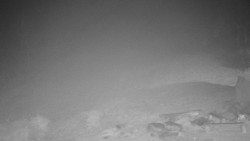 Běžecký lyžařský areál Nová Ves