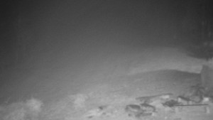 Chata Myslivna SKP Olomouc - Běžecký lyžařský areál Nová Ves - 15.11.2025 v 05:30 Chata Myslivna SKP Olomouc - Běžecký lyžařský areál Nová Ves - 15.11.2025 v 05:30