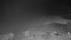 Chata Myslivna SKP Olomouc - Běžecký lyžařský areál Nová Ves - 15.11.2025 v 18:30 Chata Myslivna SKP Olomouc - Běžecký lyžařský areál Nová Ves - 15.11.2025 v 18:30