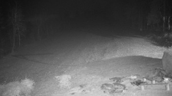 Snímek 15.11.2025 v 19:00