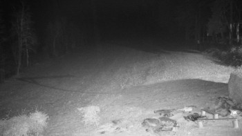 Snímek 15.11.2025 v 20:00