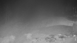 Běžecký lyžařský areál Nová Ves