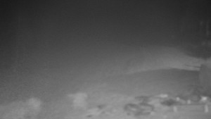 Chata Myslivna SKP Olomouc - Běžecký lyžařský areál Nová Ves - 15.11.2025 v 21:30 Chata Myslivna SKP Olomouc - Běžecký lyžařský areál Nová Ves - 15.11.2025 v 21:30