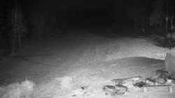 Běžecký lyžařský areál Nová Ves