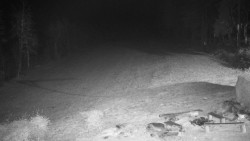 Běžecký lyžařský areál Nová Ves