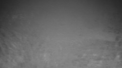 Běžecký lyžařský areál Nová Ves